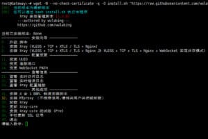 wulabing Xray 一键脚本